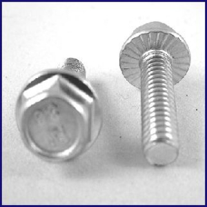 Sperrzahnschrauben M6x30 a100 Stück